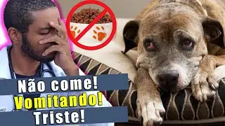 Meu CACHORRO não quer comer e está VOMITANDO E TRISTE! O que fazer?