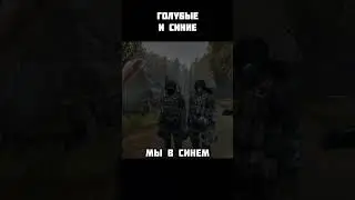 синие  
