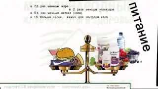 Формула жизни. Коралловый клуб.