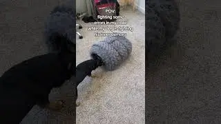 I guess we are both having a bad day