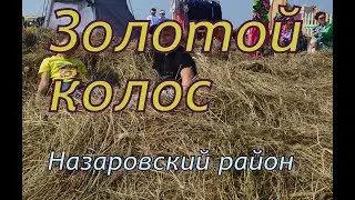 Золотой колос Назаровский район