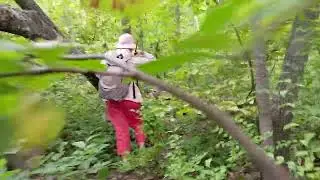 Гаврилова поляна в лесу