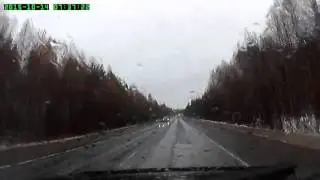 Лось с первых секунд