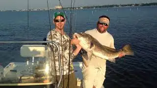 Black Drum Matter