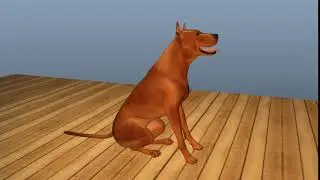 Animation Practice 5 - Dog Sit & Stand Up