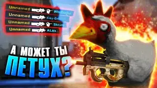 Как играть с петухом в CS:GO? (#1)