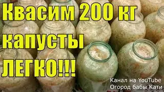 Квашеная капуста! Рецепт квашеной капусты на зиму с мочеными яблоками! В какие дни квасить капусту!