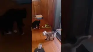 всем бы таких друзей