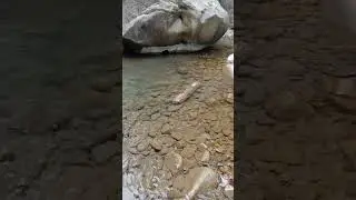 Каменные завалы в ауле Тхагапш