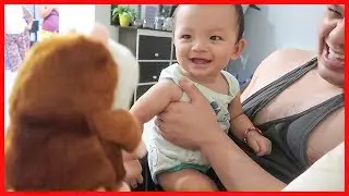 Baby's Reaction to Funny Talking Hampster