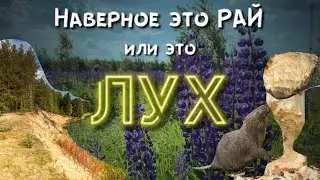 То ли Лух, а то ли виденье! Райское место в Нижегородской и Владимирской областях. 09-12 июня 2023