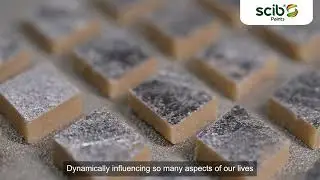 Colour Next 2024  ''2024 Colour Trend from Scib - Royale Play Bariq Silver''
