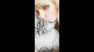 Коты и люди)