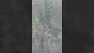 Снайпер днр ликвидировал укропа