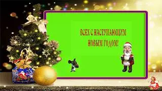 ФУТАЖ ХРЮШКИ ДЛЯ УХОДЯЩЕГО НОВОГО ГОДА 2020