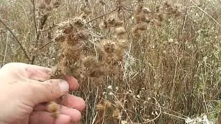 Обо всём помаленьку.