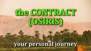 the contract (Osiris) - your personal journey