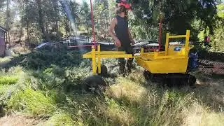 Cheap Motorized Brush Cart