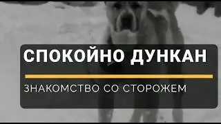 ФАЗЕНДА TV - Добрый сторожевой пёс - собака друг человека - прогулка по поселку