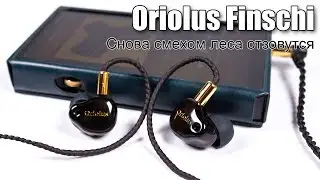 Обзор наушников Oriolus Finschi