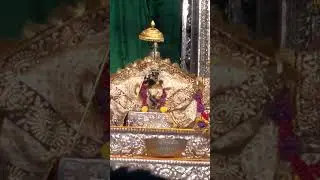 Radha Raman ji Darshan  Vrindavan