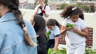 NYPA, Variety Boys & Girls Club of Queens, and LCC partner to expand rooftop garden