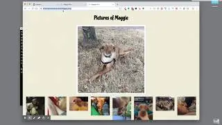 Adding git repositories to your main GitHub Pages repo