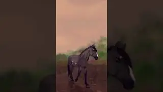 #horsegame