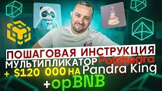 Layer Zero | Инструкция по мультипликатору Polyhedra zkBridge | Активности по opBNB | 40plus