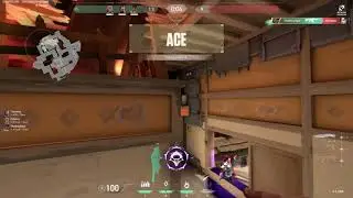 Phoenix Ace on Haven