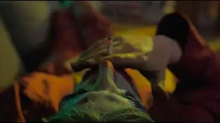 JOKER DOPO GLI OSCAR... POPER