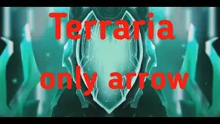 Terraria only arrow. Master mod. Part 1.