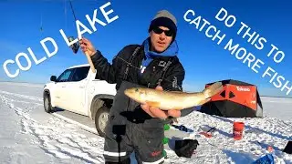 2024 Cold Lake, Lake Trout Icefishing Tournament
