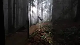 REINCARNATION ! New after life for my hard ridden Giant Reign SX ! #reincarnation #freeridemtb