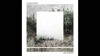 Echology - Footwork
