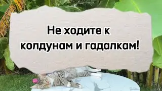 Не ходите гадалкам, колдунам
