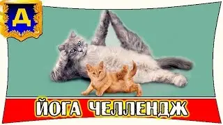 ЙОГА ЧЕЛЛЕНДЖ. Лучший на Ютубе 100%))MADE IN RUSSIA./Yoga Challenge
