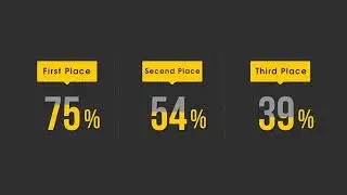 Infographics Presentation Pack   After Effects template   envato videohive infog