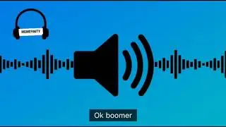 Ok boomer sound effect