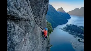 Dreamliner Airport Wall Milford Sound