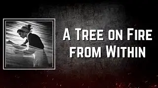 A Tree on Fire from Within Lyrics - Jack White