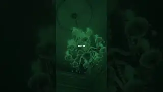 Мы молчим потому что мы знаем, говорим потому что хотим 🫀