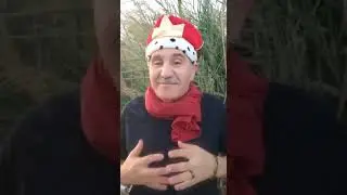 Поручик Ржевский и царь