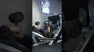 Funny Gym Memes 