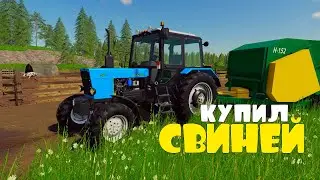 Купил Первых СВИНЕЙ. FS19.