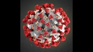 ВРАЧИ ИСПАНИИ НЕ СДЕРЖИВАЮТ СВОИХ СЛЕЗ -  Coronavirus, COVID-19
