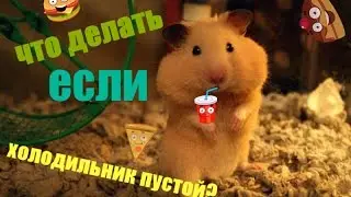 Что делать если холодильник пустой?