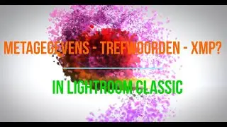 2 Metagegevens Trefwoorden en XMP in Lightroom Classic