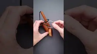 Tricky Dick puzzle