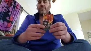 Lenormand Meanings: The Fox and the Snake